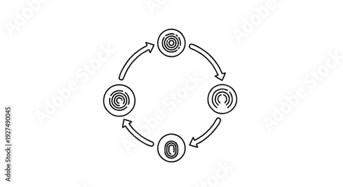 Circular diagram illustrating a process with four distinct stages.