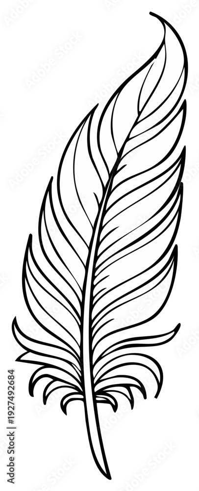 Obraz premium Elegant single feather illustration graphic design element line art drawing
