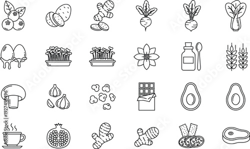 Line art healthy food icons set with berries potatoes ginger radish bok choy eggs sprouts mushrooms avocado pomegranate tea for nutrition design