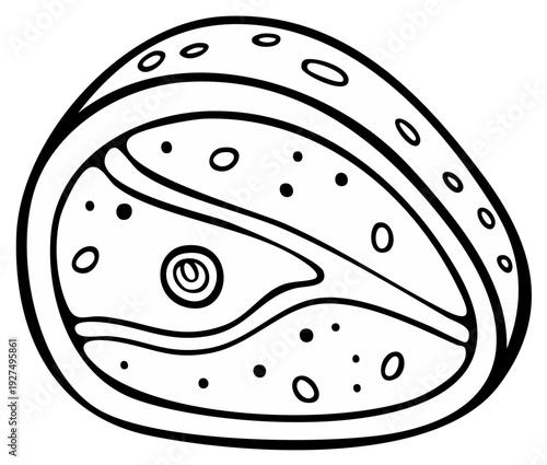 Hand drawn black and white illustration of an avocado, line art