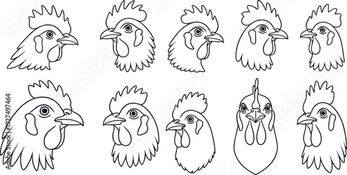 Chicken and rooster head outline illustrations set with detailed farm poultry line art designs illustrated in clean minimal black and white vector style
