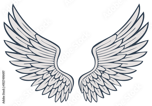 Open Angel Wings with Feather Detail Spread in Illustration Style Presentation