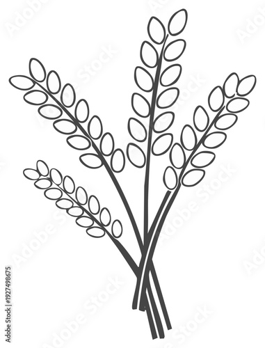 Line art illustration of wheat stalks, bundle of grain, minimalist agriculture symbol