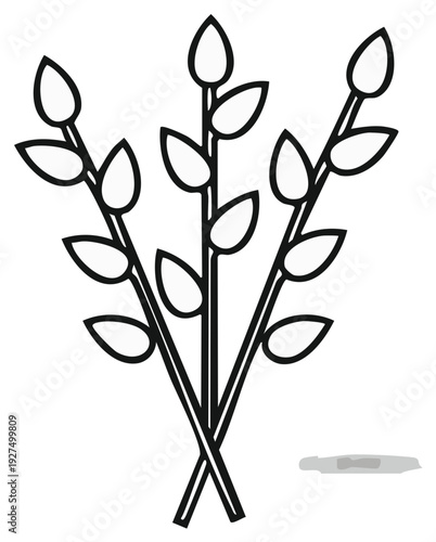 Pussy Willow Branches Vector Illustration Design Graphic Element Black and White