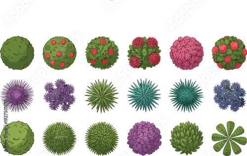 Top View Garden Plants Vector Set  Decorative Shrubs, Flowers, and Bushes