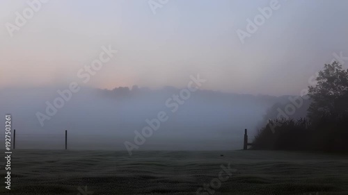 Serene Foggy Landscape at Dawn with Silhouetted Trees and Soft Light
