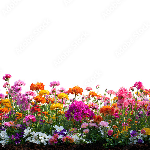 Vibrant Spring Flower Bed Blooming: Botanical Garden Stock Photo