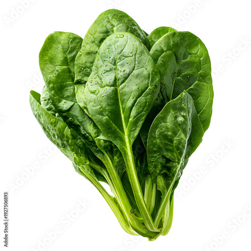 Fresh Vibrant Green Spinach Leaves - High Quality Stock Image for Professionals