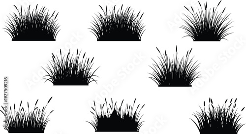 Collection of Grass and Reed Silhouettes Featuring Various Wild Meadow Plants Cattails and Swamp Vegetation Outlines for Landscape Design Nature Illustration and Architectural Assets