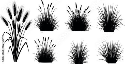 Black tall grass and wheat silhouette icons set, botanical plant vector elements, garden reed and meadow field collection, nature graphics.