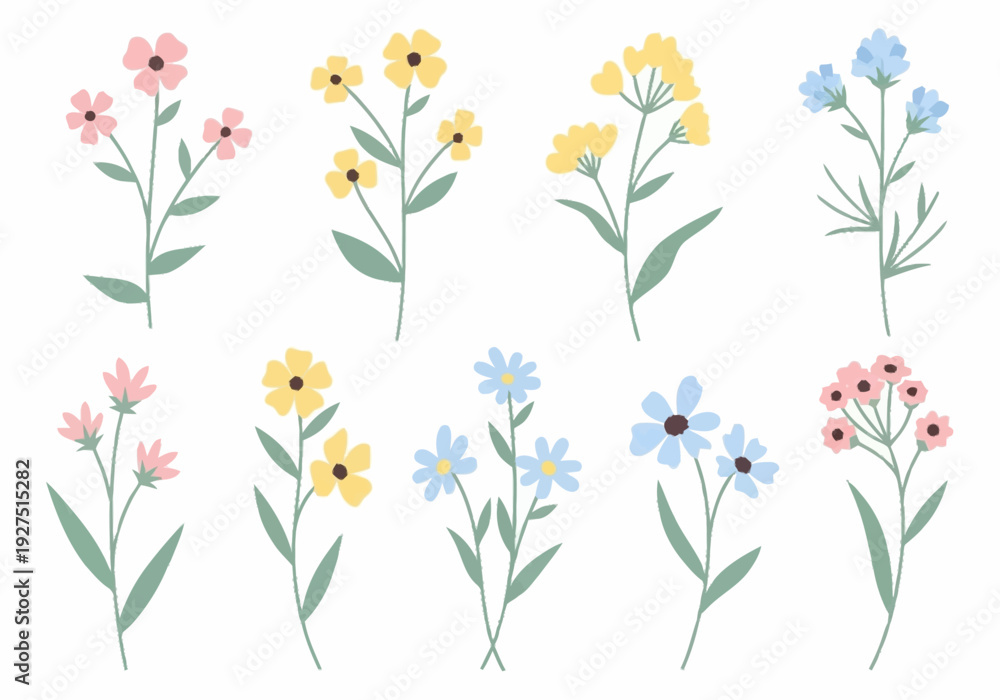 Fototapeta premium Collection of Hand Drawn Floral Illustrations for Digital Use