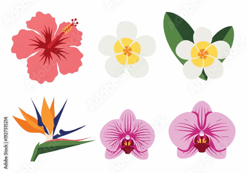 Tropical Flower Collection with Hibiscus and Orchids