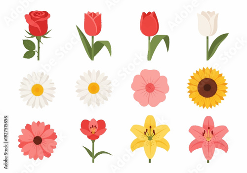 Colorful Floral Collection Featuring Various Flower Designs