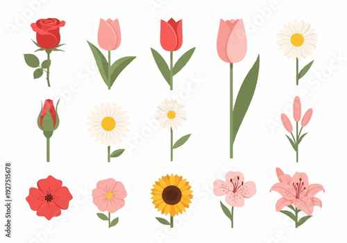 Colorful Floral Collection Illustrative Flower Designs for Spring Themes