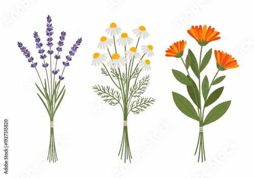 Colorful Floral Bundles of Lavender Chamomile and Marigold