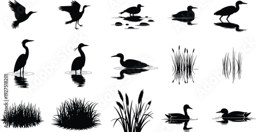 Wetland birds and aquatic plants silhouettes, nature ecosystem illustration, wildlife vector design, CAD drawing flat vector illustration, environmental graphic element
