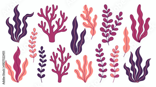 Collection of colorful stylized underwater plants, coral reef elements and seaweed isolated on white background, concept for aquatic education, marine biology illustration and ecosystem conservation