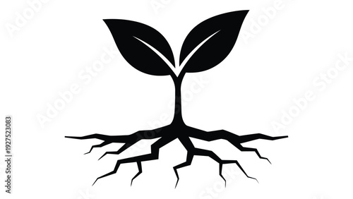 A small plant with roots and two leaves growing in the ground isolated on white background, Vector