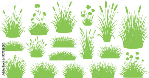 There is a collection of different grasses and plants illustrated in vector style, all presented in a uniform green color. This design emphasizes simplicity and clarity, showcasing the different shape