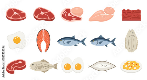 Assortment of various protein sources displayed perfect for healthy eating visuals