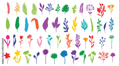 Colorful floral vector set featuring various leaf shapes and botanical flower silhouettes