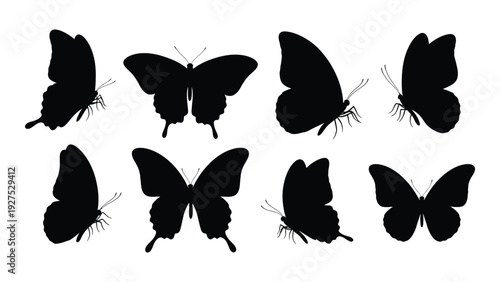 A group of black butterfly silhouettes on a white background isolated on white background, Vector