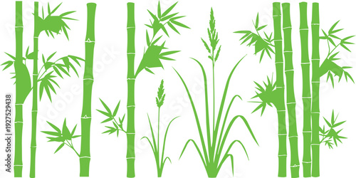 The image features a visually appealing arrangement of green bamboo stalks and grassy sprouts set against a clean white background. There are three distinct groups of bamboo stalks, each differing 