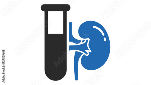 A test tube next to a blue kidney on a white background isolated on white background, Vector