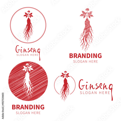 Red Sketch Ginseng Root Logo Set with Hand-drawn Texture, Organic Herbal Medicine Branding Identity Vector Collection on White Background