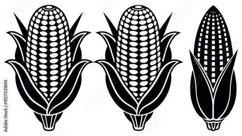 Black and White Vector Illustration of Three Ears of Corn with Leaves in Monochrome Style on white background