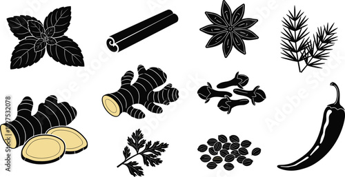 Illustrated herbs and spices collection, mint leaves, cinnamon stick, star anise, rosemary sprigs, ginger root, cloves, coriander seeds, chili pepper