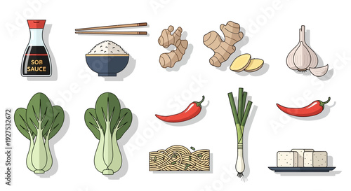 Asian cuisine elements vector illustrations of food and cooking ingredients