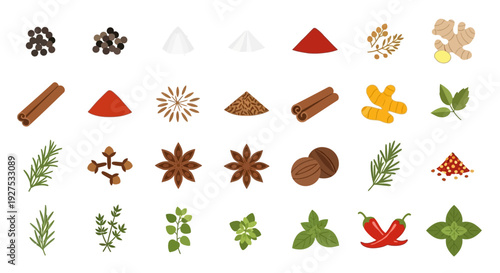 Collection of various spices and herbs isolated on a white background culinary elements