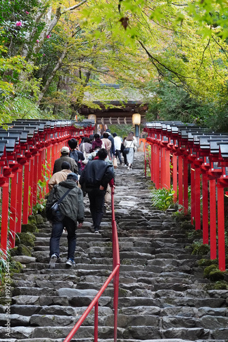 京都貴船神社の朱塗りの灯籠が立ち並ぶ参道の石段