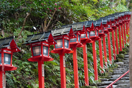 京都貴船神社の朱塗りの灯籠が立ち並ぶ参道の石段