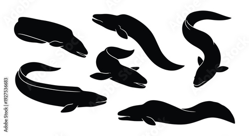 Black silhouettes of multiple eels swimming in various curved positions