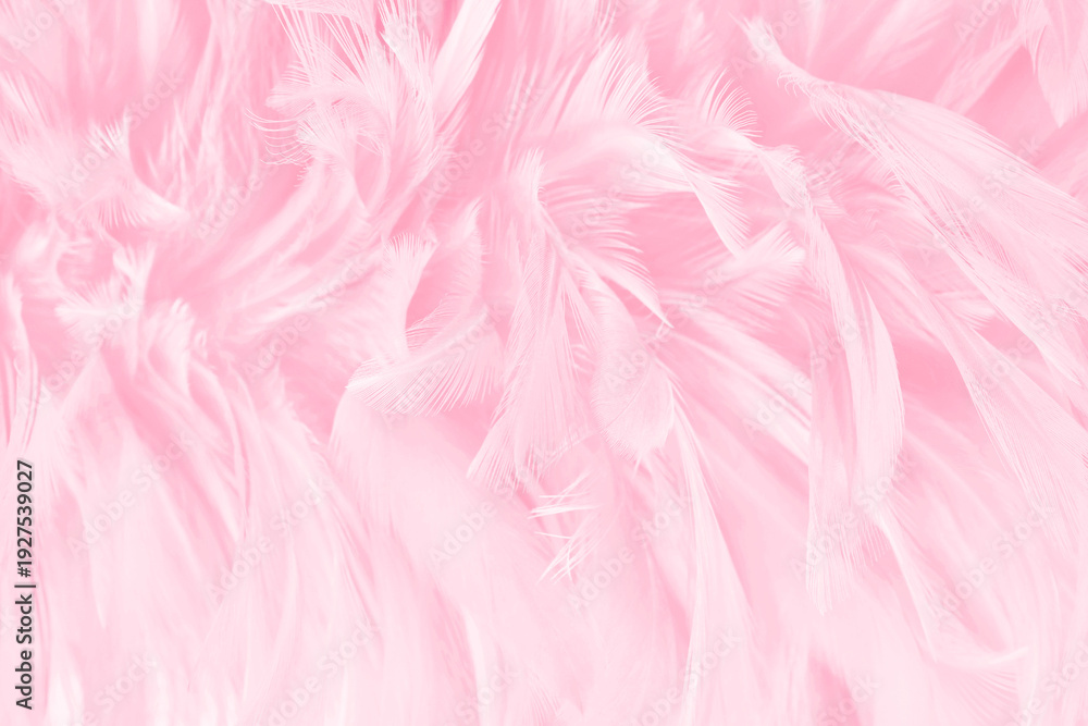 Fototapeta premium Beautiful soft pink bird feathers pattern texture background.