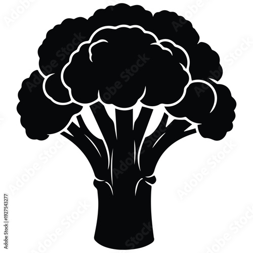 Stunning black silhouette of a fresh cauliflower vegetable