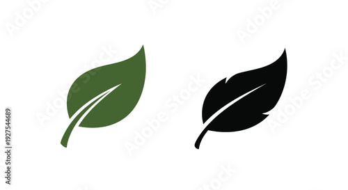 Two leaves one green and one black presented as a silhouette