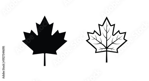 Two maple leaves one solid and one outline black and white silhouette