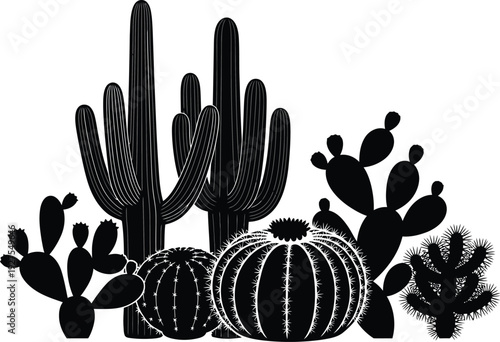 Desert cacti silhouette illustration