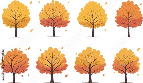 Autumn tree collection vector illustration, colorful fall foliage trees isolated on white background for seasonal design