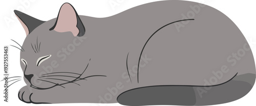 Sleeping Grey Cat Minimal Illustration Isolated Object Flat Design