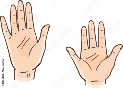 Two Hands Open Palm Showing Fingers In A Minimal Flat Design Style On White Background