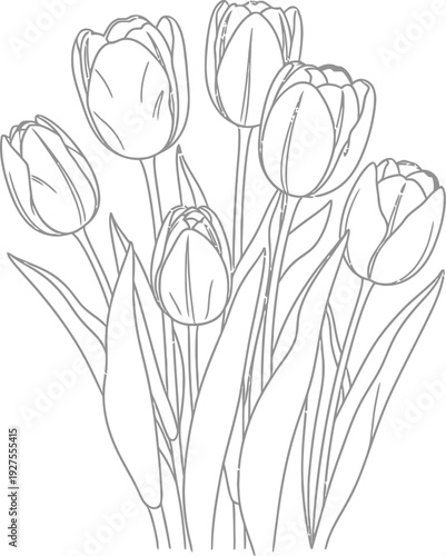 Simple black and white line art drawing depicting a lovely bouquet of six blooming tulips with long stems and leaves