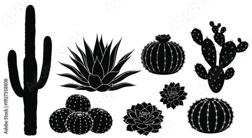 Black silhouette of various cacti and succulents arranged in a minimalist desert plant grouping