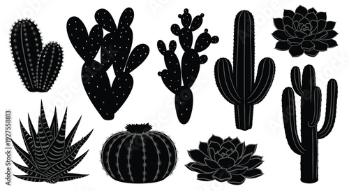 Various cacti and succulents in a striking black and white silhouette design