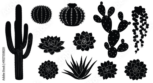 Various cactus and succulent plants displayed as a striking black silhouette design