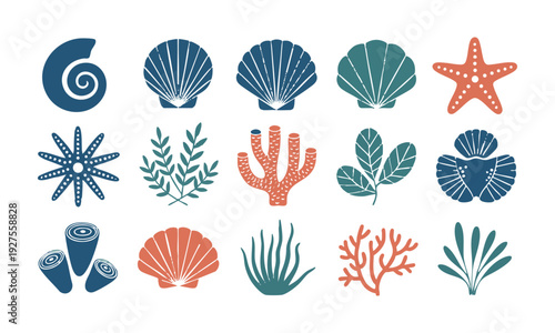 Ocean marine decorative icons with shells starfish coral and sea elements vector illustration, easily editable.