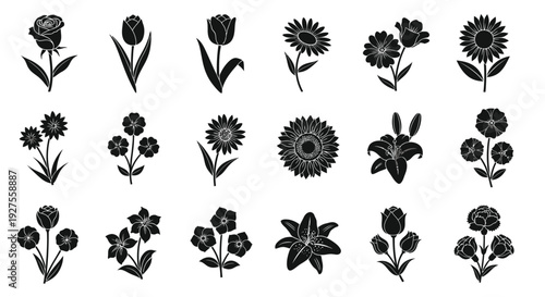 Black and white floral illustration featuring various flower silhouettes against a clean white background